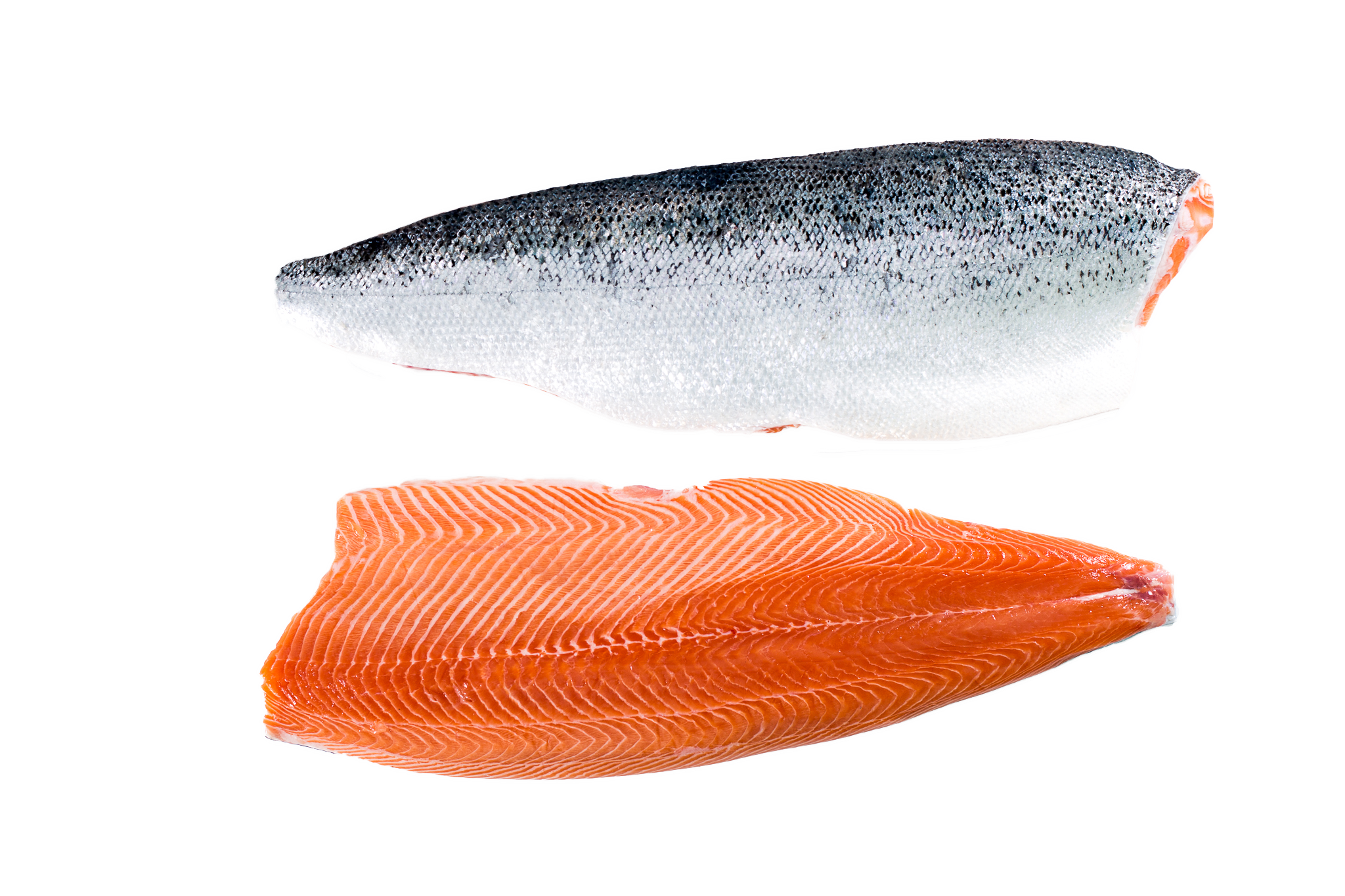 Lonja de salmon 1.50 kg aprox