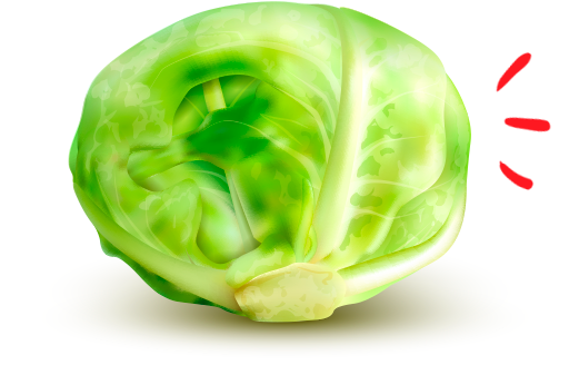 Lechuga